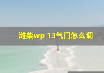 潍柴wp 13气门怎么调